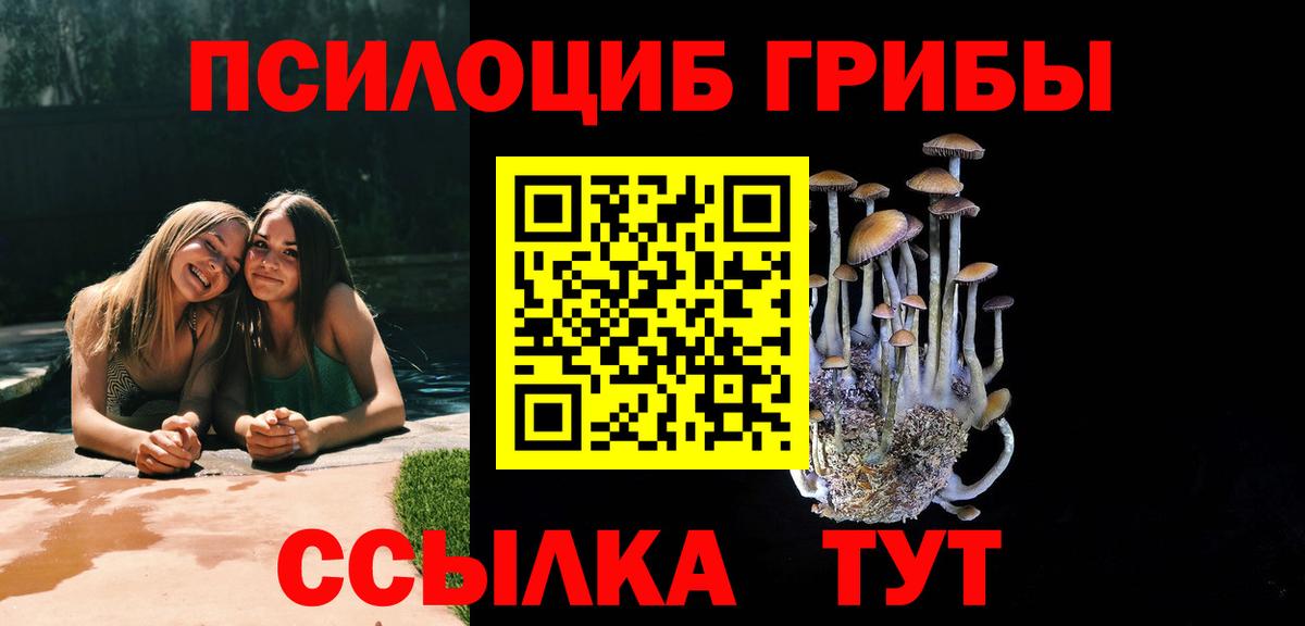 продажа наркотиков  Псилоцибиновые грибы Psilocybine cubensis  Зеленодольск  Вход с VPN  Галлюциногенные грибы MAGIC MUSHROOMS 